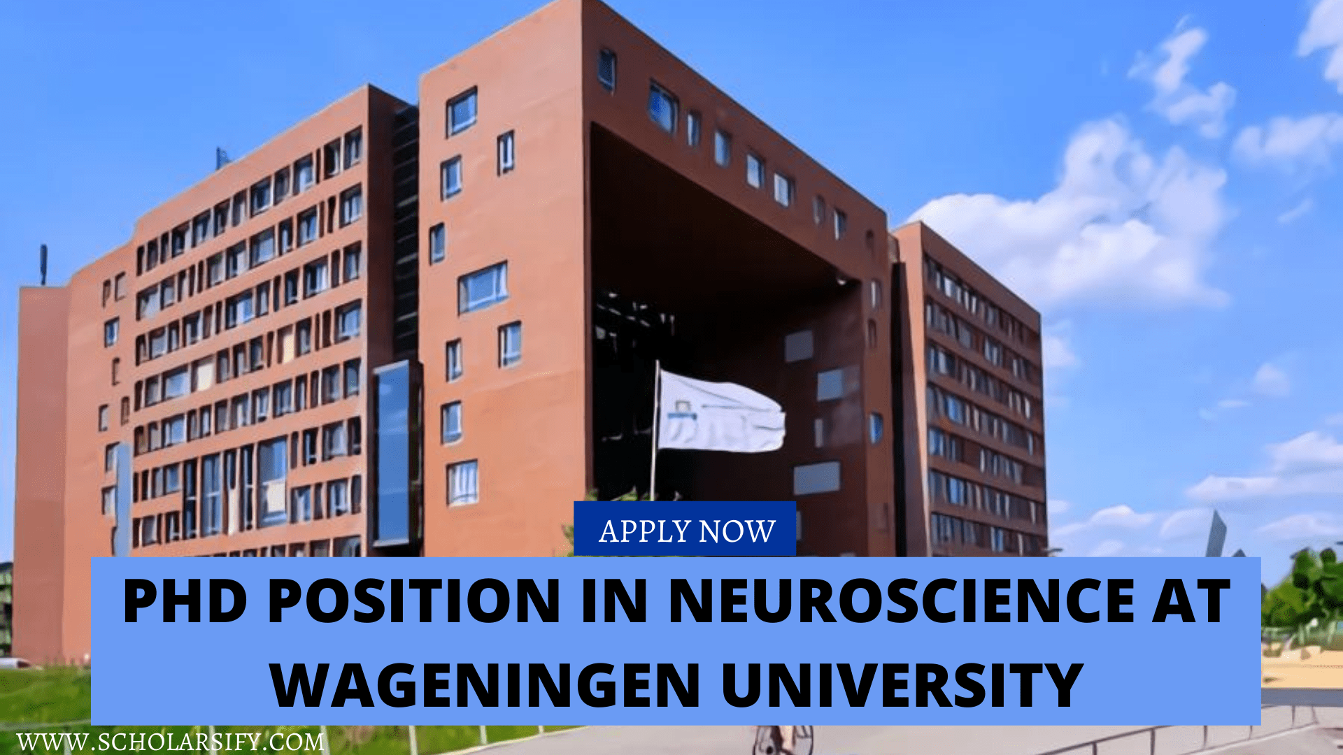 phd position in germany neuroscience