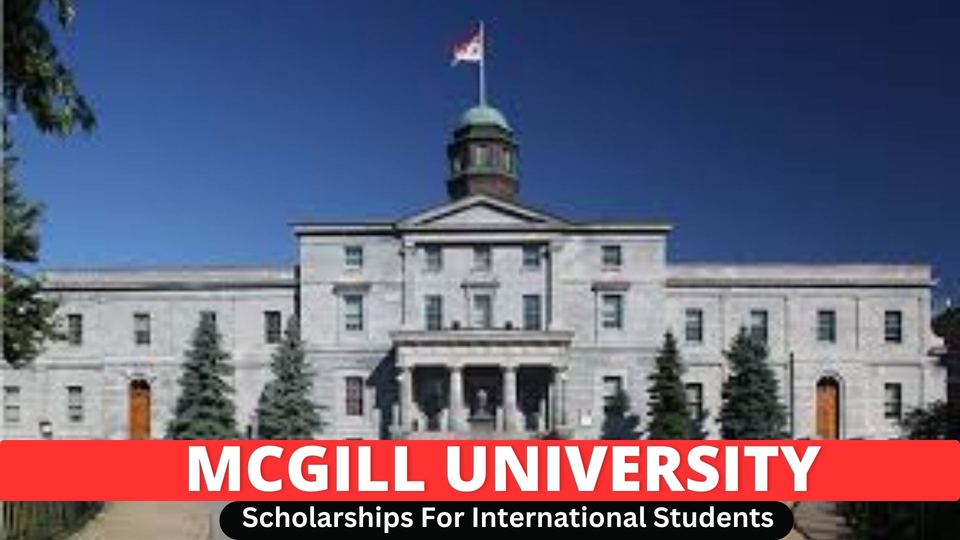 McGill University Scholarships For International Students 2024 2025   McGill University 