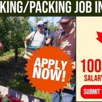 Relocate To Canada: Multiple Recruitments For Fruit-Pickers – APPLY HERE NOW!