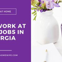 Work from Home Jobs In Georgia - No Experience Needed - APPLY NOW!